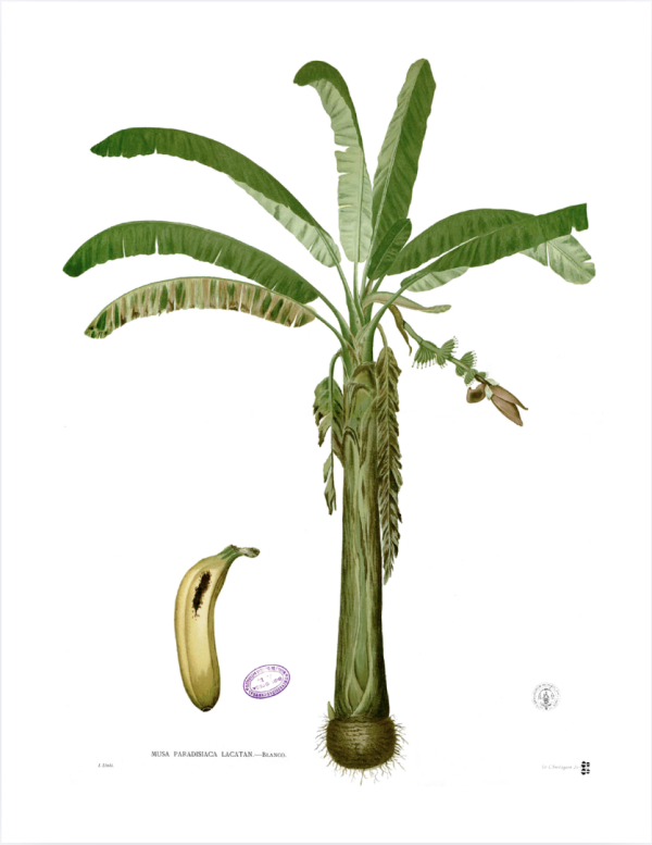 Screenshot 2026-04-10 at 10.58.40 AM